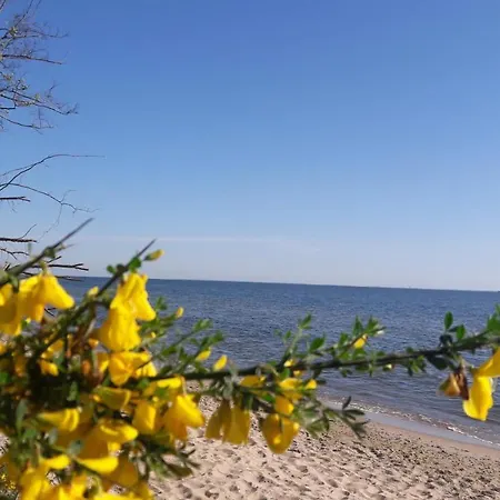 Gdynia, Sea Shell - Romantyczny Przestronny Apartament Z Parkingiem - Dla Pary Blisko Dzikiej Plaży I Centrum Apartament *